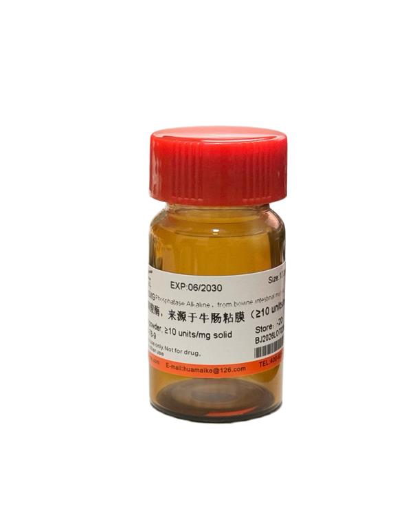 碱性磷酸酶，来源于大肠杆菌（≥10 units/mg）